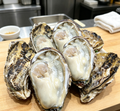 Raw Oysters